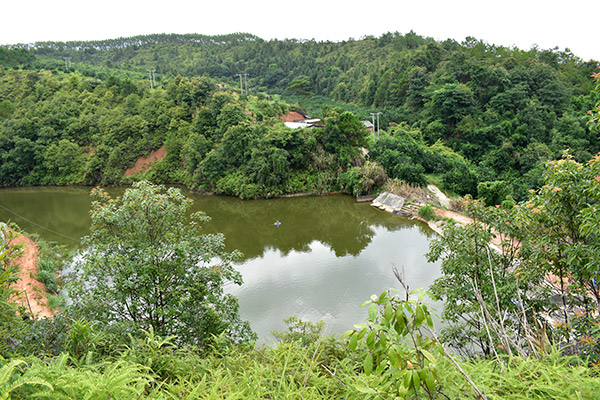 養(yǎng)魚基地