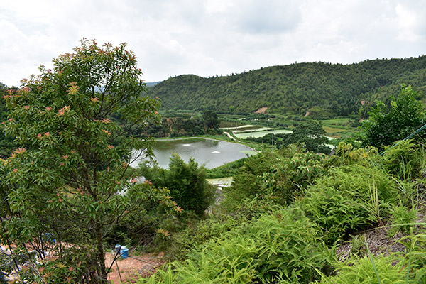 養(yǎng)魚(yú)基地