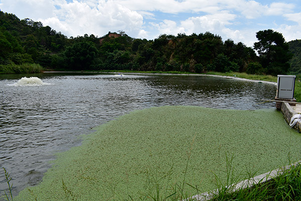 養(yǎng)魚(yú)基地