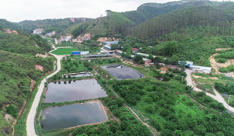 養(yǎng)魚基地