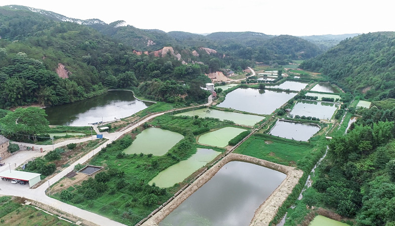 養(yǎng)魚基地